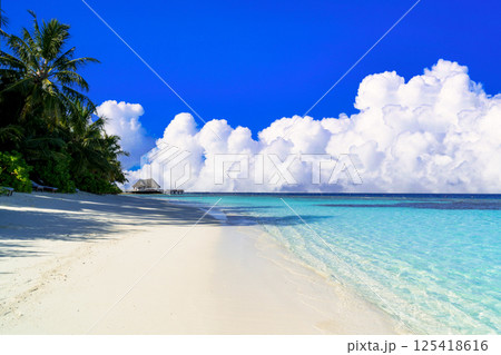 インド洋の美しいサンゴ礁の海 125418616