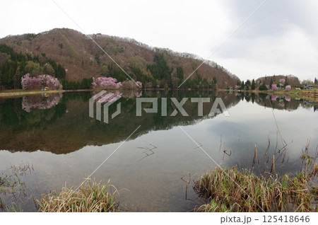 信州 安曇野 中綱湖 オオヤマザクラの名所 仁科三湖の真ん中の湖 信州 安曇野 中綱湖 オオヤマザクラの名所 仁科三湖の真ん中の湖 125418646