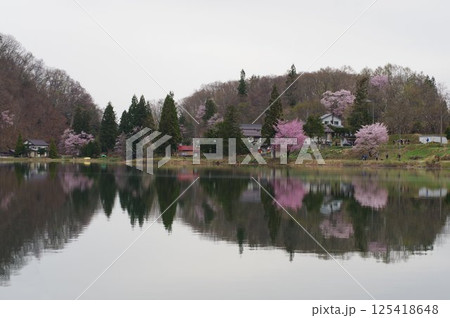 信州 安曇野 中綱湖 オオヤマザクラの名所 仁科三湖の真ん中の湖 信州 安曇野 中綱湖 オオヤマザクラの名所 仁科三湖の真ん中の湖 125418648