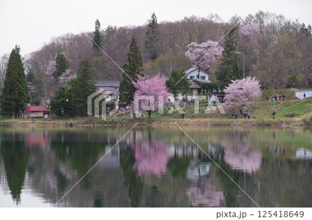 信州 安曇野 中綱湖 オオヤマザクラの名所 仁科三湖の真ん中の湖 信州 安曇野 中綱湖 オオヤマザクラの名所 仁科三湖の真ん中の湖 125418649