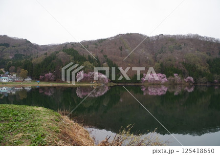 信州 安曇野 中綱湖 オオヤマザクラの名所 仁科三湖の真ん中の湖 信州 安曇野 中綱湖 オオヤマザクラの名所 仁科三湖の真ん中の湖 125418650