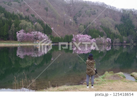 信州 安曇野 中綱湖 オオヤマザクラの名所 仁科三湖の真ん中の湖 信州 安曇野 中綱湖 オオヤマザクラの名所 仁科三湖の真ん中の湖 125418654