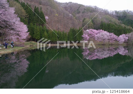 信州 安曇野 中綱湖 オオヤマザクラの名所 仁科三湖の真ん中の湖 信州 安曇野 中綱湖 オオヤマザクラの名所 仁科三湖の真ん中の湖 125418664