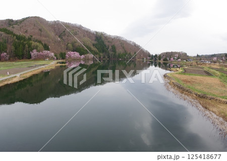 信州　安曇野　中綱湖　オオヤマザクラの名所　仁科三湖の真ん中の湖 125418677