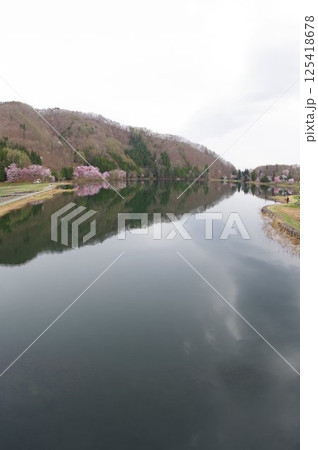 信州　安曇野　中綱湖　オオヤマザクラの名所　仁科三湖の真ん中の湖 125418678
