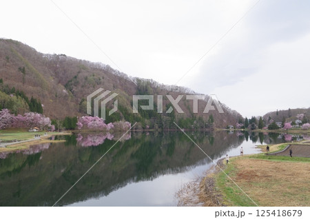 信州 安曇野 中綱湖 オオヤマザクラの名所 仁科三湖の真ん中の湖 信州 安曇野 中綱湖 オオヤマザクラの名所 仁科三湖の真ん中の湖 125418679