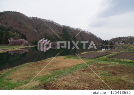 信州 安曇野 中綱湖 オオヤマザクラの名所 仁科三湖の真ん中の湖 信州 安曇野 中綱湖 オオヤマザクラの名所 仁科三湖の真ん中の湖 125418686