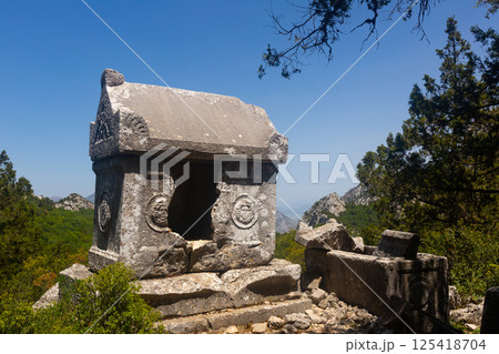 Reliefs on sarcophagus rock tombs at unique Southwest necropolis Termessos ancient city 125418704