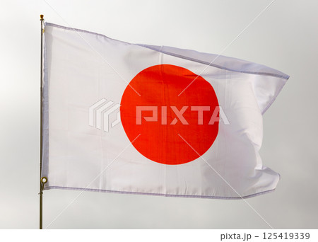 Flag of Japan waving on cloudy sky during daytime Flag of Japan waving on cloudy sky during daytime 125419339
