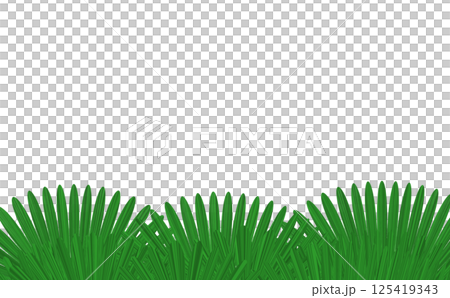 大きな葉っぱのある風景 大きな葉っぱのある風景 125419343