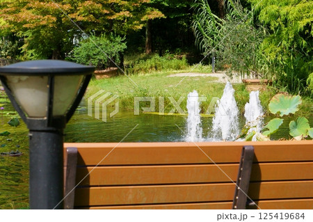 池に噴水がある公園の風景 フラリエ 池に噴水がある公園の風景 フラリエ 125419684