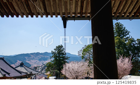 国宝蔵王堂より観る吉野山上千本桜 金峯山寺 奈良県 国宝蔵王堂より観る吉野山上千本桜 金峯山寺 奈良県 125419835