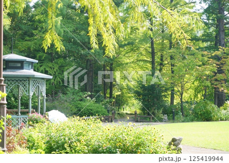 ガゼボが見えるガーデン 125419944