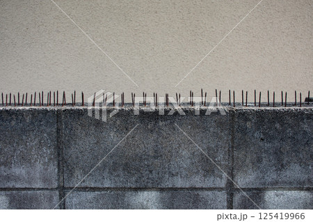 ブロック塀の上に並ぶ、鳥よけのスパイク 125419966