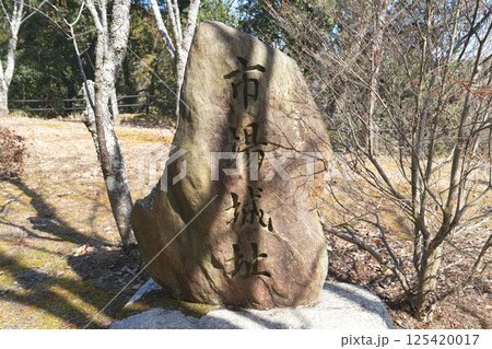 三河国「市場城」　石垣と曲輪の現在の様子 125420017