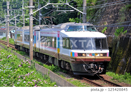 伊東線 網代-伊豆多賀 JR東日本 485系 NO.DO.KA(新潟) 伊東線 網代-伊豆多賀 JR東日本 485系 NO.DO.KA(新潟) 125420845