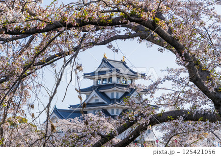春の墨俣一夜城周辺の風景 125421056
