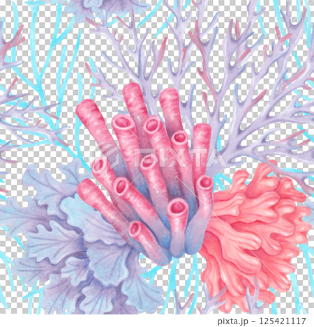 Marine seamless pattern with tubular, branched, lace corals and seaweed. Watercolor illustrations. Ocean coral reefs, underwater animals. Hand drawn isolated background for fabric, textile, packaging 125421117
