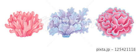 Sea coral set. Colorful ocean coral reefs. Watercolor and marker illustrations. Hand drawn isolated art. Underwater tropical animal for nursery, shower, guidebook design. Marine nature ecosystem 125421118