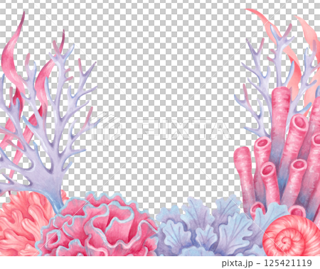 Frame with corals, seaweed and shell. Watercolor illustration. Underwater nature of the seabed. Hand drawn coral reef with space for text. Art for children's design, tourism industry, travel 125421119