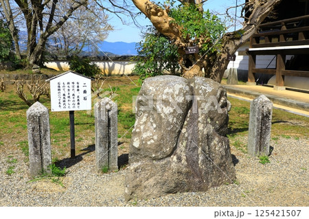 明日香村　橘寺　二面石 125421507