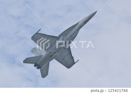 岩国基地航空ショーでデモフライトを行うアメリカ海軍のF/A-18F スーパーホーネット 岩国基地航空ショーでデモフライトを行うアメリカ海軍のF/A-18F スーパーホーネット 125421788