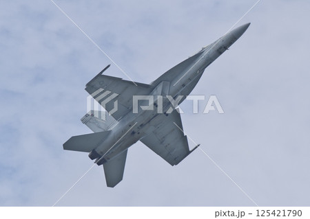 岩国基地航空ショーでデモフライトを行うアメリカ海軍のF/A-18F　スーパーホーネット 125421790
