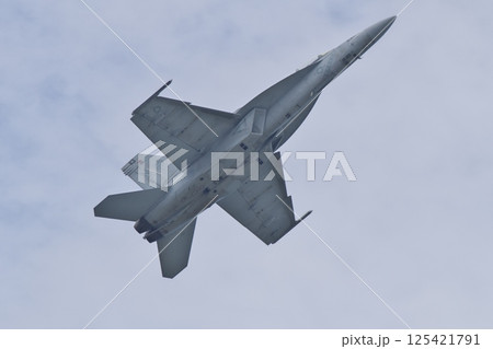 岩国基地航空ショーでデモフライトを行うアメリカ海軍のF/A-18F　スーパーホーネット 125421791
