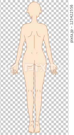 後ろ姿の女性のシンプルなヌードイラスト 後ろ姿の女性のシンプルなヌードイラスト 125422556