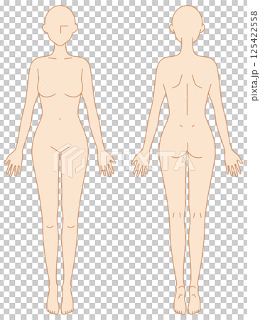 女性のシンプルなヌードイラスト（前後） 125422558