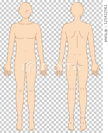 Simple male nude illustration (front and back) 125422561