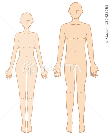 前を向いた男女のシンプルなヌードイラスト 125422563