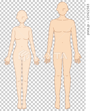 前を向いた男女のシンプルなヌードイラスト 125422563
