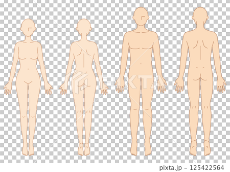 男女のシンプルなヌードイラスト(前後) 男女のシンプルなヌードイラスト(前後) 125422564