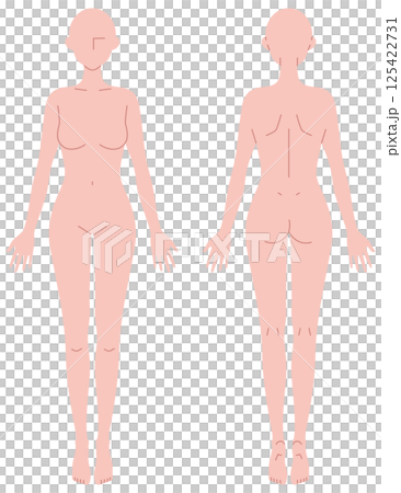 Simple nude illustration of a woman (front and back) 125422731