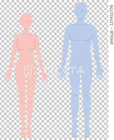 Simple nude illustration of a man and woman facing forward 125422736