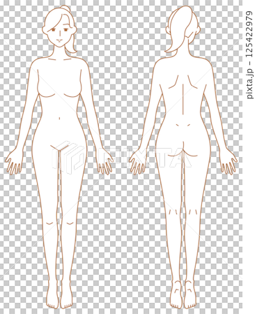 女性のシンプルなヌードイラスト（前後） 125422979