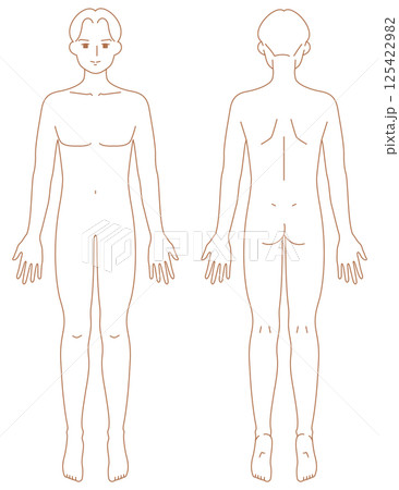 男性のシンプルなヌードイラスト（前後） 125422982