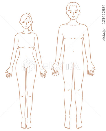 前を向いた男女のシンプルなヌードイラスト 125422984