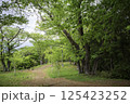 新緑の登山道 125423252