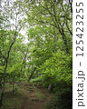 新緑の登山道 125423255