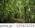 新緑の登山道 125423258
