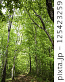 新緑の登山道 125423259