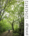 新緑の登山道 125423472