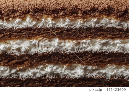 Close-up of Chocolate Coconut Layer Cake Texture. AI-generated item Close-up of Chocolate Coconut Layer Cake Texture. AI-generated item 125423609