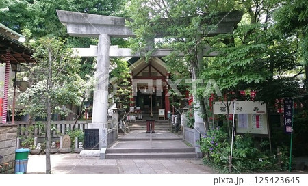 江東区亀戸に鎮座する亀戸天祖神社 江東区亀戸に鎮座する亀戸天祖神社 125423645