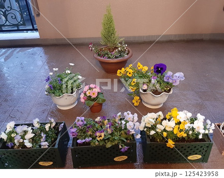 ベランダの濡れた地面　地面 125423958