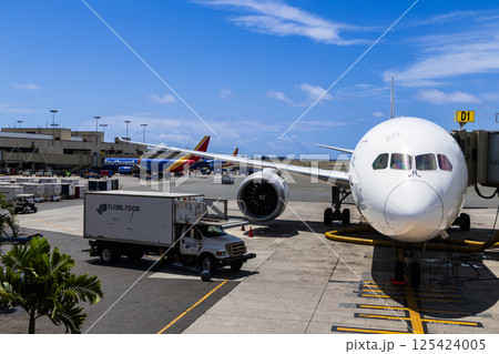 ハワイの休日　ホノルル国際空港 125424005