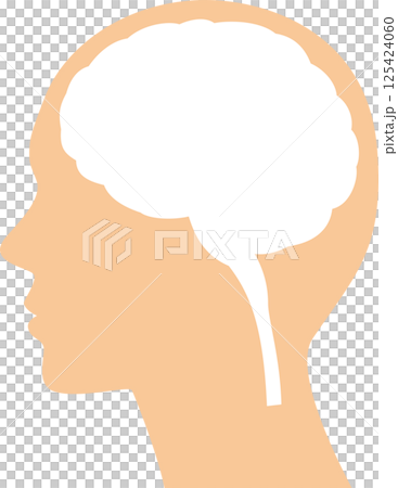 Illustration of the brain inside the human head seen from the side Illustration of the brain inside the human head seen from the side 125424060