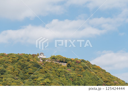 【岩国城】 【岩国城】 125424444